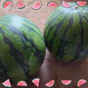 ヒメ日記 2025/06/19 18:30 投稿 飛鳥(あすか)★ 阿AUN呍(あうん)