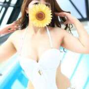 ヒメ日記 2025/08/20 08:30 投稿 飛鳥(あすか)★ 阿AUN呍(あうん)