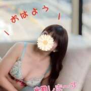 ヒメ日記 2026/02/05 07:00 投稿 飛鳥(あすか)★ 阿AUN呍(あうん)
