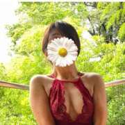 ヒメ日記 2026/03/20 07:00 投稿 飛鳥(あすか)★ 阿AUN呍(あうん)