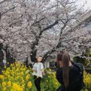 ヒメ日記 2026/03/30 11:50 投稿 飛鳥(あすか)★ 阿AUN呍(あうん)