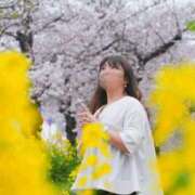 飛鳥(あすか)★ 新しい季節に💖 阿AUN呍(あうん)