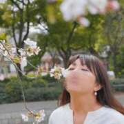 ヒメ日記 2026/04/08 07:15 投稿 飛鳥(あすか)★ 阿AUN呍(あうん)