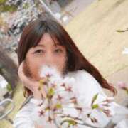 ヒメ日記 2026/04/14 07:15 投稿 飛鳥(あすか)★ 阿AUN呍(あうん)