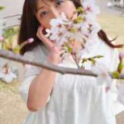 ヒメ日記 2026/05/04 07:15 投稿 飛鳥(あすか)★ 阿AUN呍(あうん)