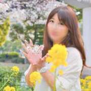 ヒメ日記 2026/05/23 07:30 投稿 飛鳥(あすか)★ 阿AUN呍(あうん)