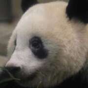 ヒメ日記 2025/06/12 15:01 投稿 えみり★ 阿AUN呍(あうん)