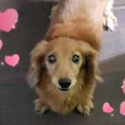 ヒメ日記 2025/09/22 11:43 投稿 鮎川★あゆかわ 阿AUN呍(あうん)