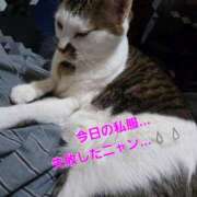 ヒメ日記 2026/01/28 10:29 投稿 鮎川★あゆかわ 阿AUN呍(あうん)