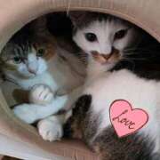 ヒメ日記 2026/02/22 21:02 投稿 鮎川★あゆかわ 阿AUN呍(あうん)