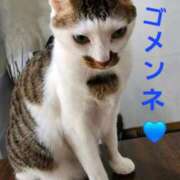 ヒメ日記 2026/04/10 09:39 投稿 鮎川★あゆかわ 阿AUN呍(あうん)