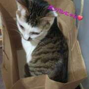 ヒメ日記 2026/04/13 08:17 投稿 鮎川★あゆかわ 阿AUN呍(あうん)