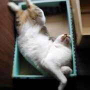 鮎川★あゆかわ こんな日があっても良いじゃない…？笑 阿AUN呍(あうん)