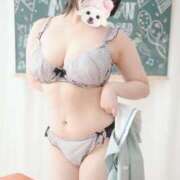 ヒメ日記 2025/03/12 01:14 投稿 ねおん みつらん鉄道