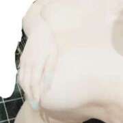 ヒメ日記 2025/04/09 00:30 投稿 ねおん みつらん鉄道