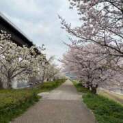 ヒメ日記 2025/04/22 00:24 投稿 ねおん みつらん鉄道