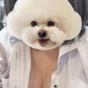 ヒメ日記 2025/05/26 23:05 投稿 ねおん みつらん鉄道