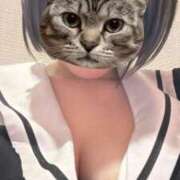 ヒメ日記 2025/06/14 20:00 投稿 ねおん みつらん鉄道