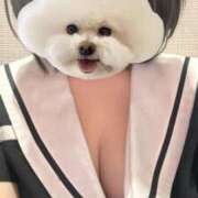 ヒメ日記 2025/06/18 21:09 投稿 ねおん みつらん鉄道