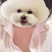 ヒメ日記 2025/08/25 21:30 投稿 ねおん みつらん鉄道