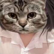 ヒメ日記 2025/08/27 21:30 投稿 ねおん みつらん鉄道