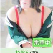 ヒメ日記 2025/09/24 16:51 投稿 ねおん みつらん鉄道