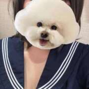 ヒメ日記 2025/10/03 23:54 投稿 ねおん みつらん鉄道