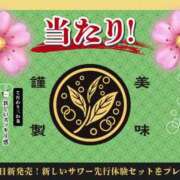 ヒメ日記 2024/02/12 23:40 投稿 いちご ママれもん五反田店