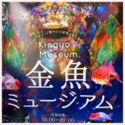 ヒメ日記 2024/08/30 12:54 投稿 島田あいこ こあくまな熟女たち三河店（KOAKUMAグループ）