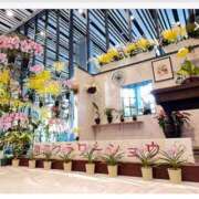 ヒメ日記 2025/01/25 10:59 投稿 島田あいこ こあくまな熟女たち三河店（KOAKUMAグループ）