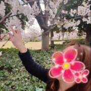 ヒメ日記 2025/04/03 11:49 投稿 島田あいこ こあくまな熟女たち三河店（KOAKUMAグループ）