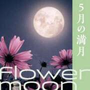 ヒメ日記 2025/05/12 19:00 投稿 島田あいこ こあくまな熟女たち三河店（KOAKUMAグループ）
