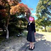 ヒメ日記 2025/11/14 07:55 投稿 島田あいこ こあくまな熟女たち三河店（KOAKUMAグループ）