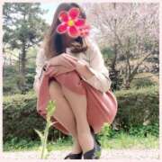 ヒメ日記 2026/03/13 09:58 投稿 島田あいこ こあくまな熟女たち三河店（KOAKUMAグループ）