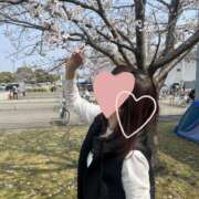 ヒメ日記 2026/03/28 14:15 投稿 島田あいこ こあくまな熟女たち三河店（KOAKUMAグループ）