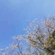 ヒメ日記 2025/04/02 18:23 投稿 ゆきみ 大奥