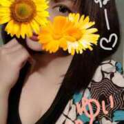 ヒメ日記 2025/05/20 20:20 投稿 ゆい Queen Angel(クイーンエンジェル)