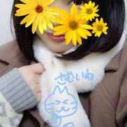 ヒメ日記 2026/02/11 17:04 投稿 ゆい Queen Angel(クイーンエンジェル)