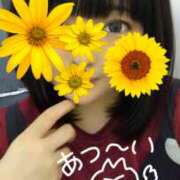ヒメ日記 2026/08/24 15:45 投稿 ゆい Queen Angel(クイーンエンジェル)