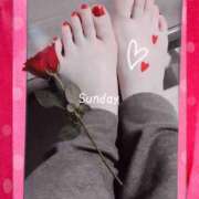 ヒメ日記 2025/02/23 05:32 投稿 つむぎ 小田原人妻城