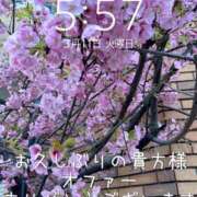 ヒメ日記 2025/03/11 06:06 投稿 つむぎ 小田原人妻城