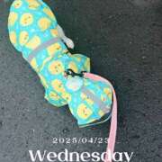 ヒメ日記 2025/04/23 21:16 投稿 つむぎ 小田原人妻城