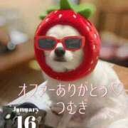 ヒメ日記 2026/01/16 12:16 投稿 つむぎ 小田原人妻城