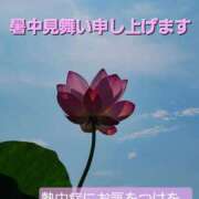 ヒメ日記 2026/07/25 00:02 投稿 みか 熟女パラダイス本庄店(カサブランカグループ)