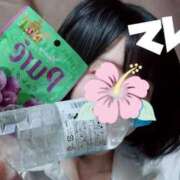 ヒメ日記 2026/07/14 11:40 投稿 てんか 難波女子高生はやめました！！