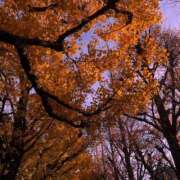 ヒメ日記 2025/01/14 09:56 投稿 【ちえみ】小柄でクビレばっちり コーチと私と、ビート板･･･