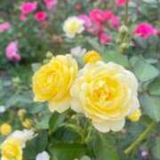 ヒメ日記 2025/06/06 22:58 投稿 小百合（さゆり） 美人専門店 潤