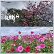 ヒメ日記 2025/02/03 10:56 投稿 なな バッドカンパニー土浦店