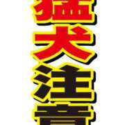 ヒメ日記 2024/06/19 16:20 投稿 圭（けい）☆最高級のおもてなし ジャックと豆の木