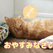 ヒメ日記 2024/12/16 20:57 投稿 圭（けい）☆最高級のおもてなし ジャックと豆の木